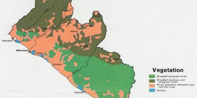 Карта рослинності карта Ліберії